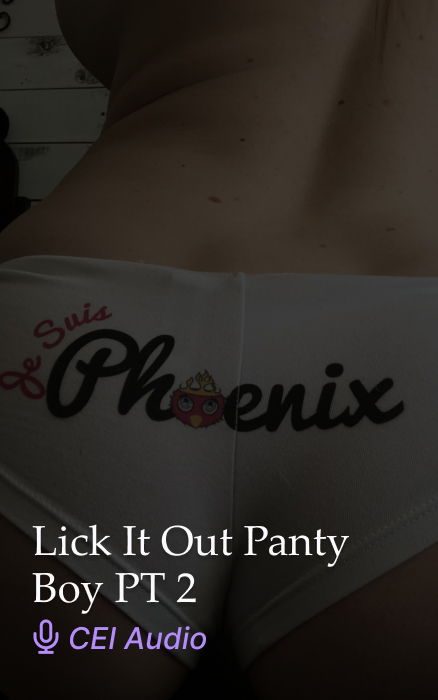 Lick It Out, Panty Boy Pt 2 – CEI JOI Cum Eating Audio